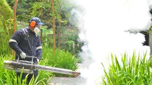 Best Lawn Pest Control  in Heritage Lake, IN